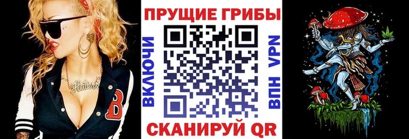 Галлюциногенные грибы MAGIC MUSHROOMS  Купить закладки  Касимов 