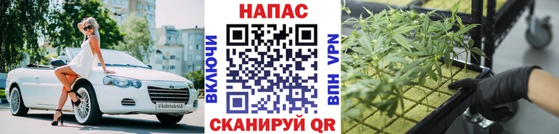 Купить закладки Касимов МАРИХУАНА White Widow
